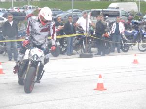 Ptički brez gnezda ponovno presenetili 1